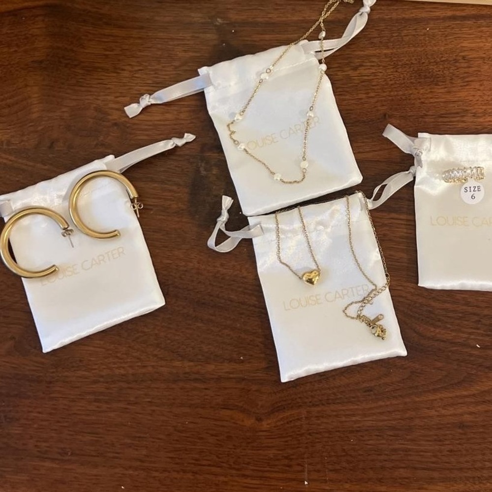 Louise Carter Premium Stainless Steel + PVD Coating Gold‎ Jewelry Bundle Set NWT